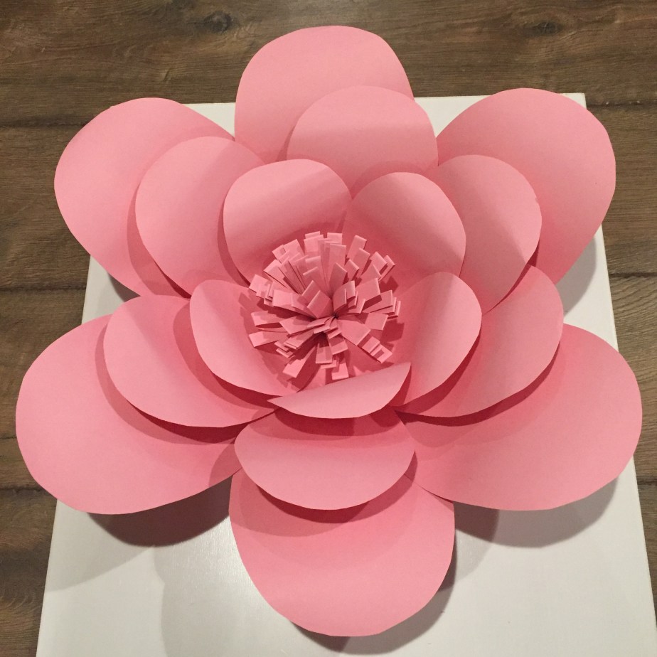 979AF319-5B59-43B9-9028-EBE777640AEE